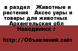  в раздел : Животные и растения » Аксесcуары и товары для животных . Архангельская обл.,Новодвинск г.